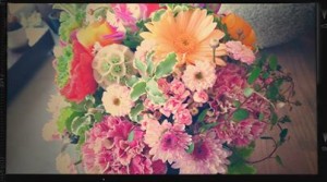 10154195_761173767234903_9051243202521024558_n[1]