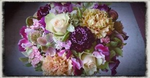 10155330_752529701432643_1936040311_n[1]