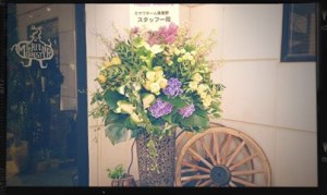 10262187_764907090194904_8226799357461344003_n[1]