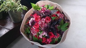 1146495_644096715609276_1467721800_n[1]