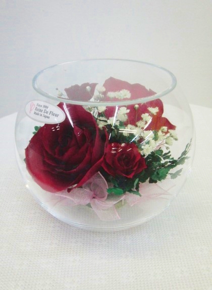 レンデフロール(S-E)のイメージ