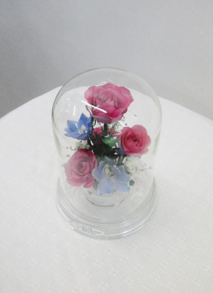 レンデフロール(R-E)のイメージ2